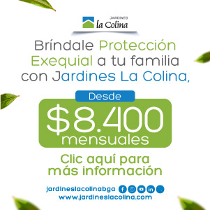 Imagen 5